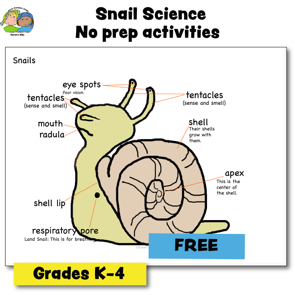 SCIENCE ACTIVITY Snailopolis Freebie (Karen's Kids Printables)